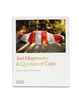A Question Of Colour - Joel Meyerowitz