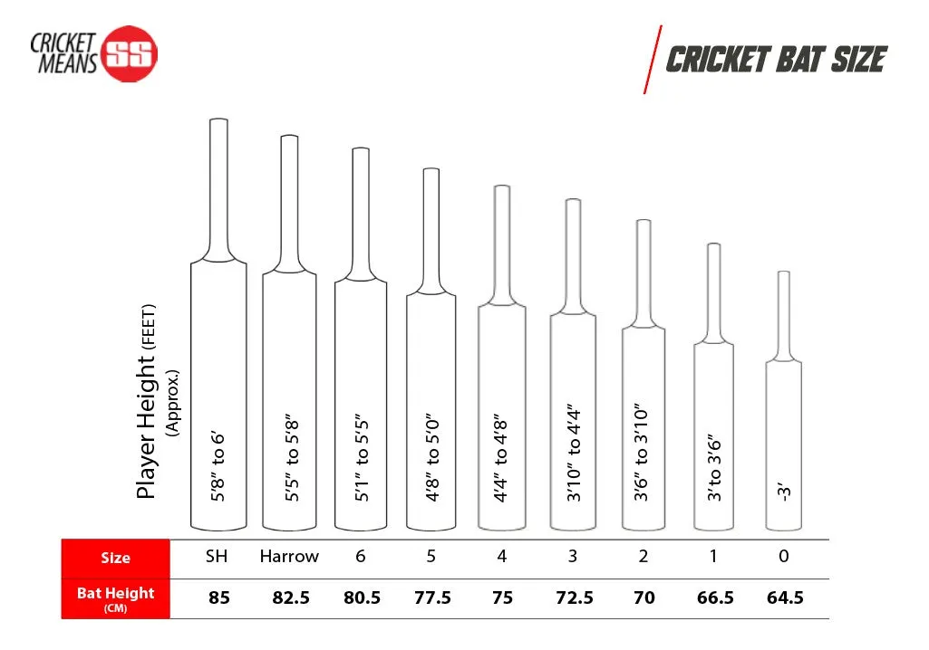SS Vintage Platinum Kashmir Willow Cricket Bat | KIBI SPORTS